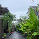 발리 스미냑 짱구 숙소 추천 신 놈브레 발리 Sin Nombre Bali 1일차 후기 (디럭스 풀 스위트룸)