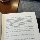 디지털 노마드 프리랜서의 6개월 후기 (프레플리 한국어 강사, 온라인 마케팅 및 세일즈 등등..)