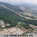 내음