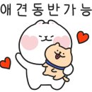 카페1016