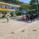 예곡초등학교 Daum카페