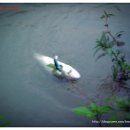 집이곡지 이미지