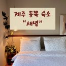 제주 동쪽 감성숙소 추천 구좌 새녘 솔직후기