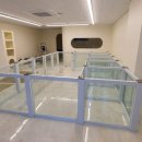 미소댕댕 이미지