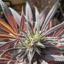 해시호텔 이미지