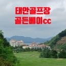 골든베이골프앤리조트 | 태골든베이CC 7월 폭염 라운드 솔직 후기｜여름 골프의 한계를 느낀 서해 오션뷰는 최고