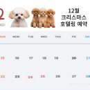 101애견유치원 이미지