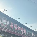제주도 기록🌴