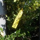 비아농협주유소 이미지