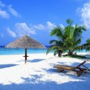 여름아, 부탁해~~ 이미지