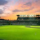 플러스미(주) 이미지