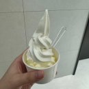 보라메트로약국 | 대구메트로안과 스마일프로 라식 수술과정 후기