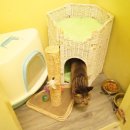 유니포리 이미지