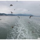 최*복 - 안양시 동안구 일동로 4 | 최*복
