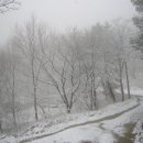 삼수령목장 이미지