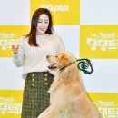 댕댕CLUB 이미지