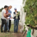 VINEYARD LAB 이미지