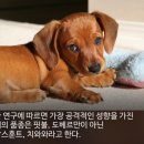 16 이미지