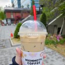 매머드익스프레스평촌디지털엠파이어점