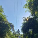 남산골약수터 | 강화 청수암(25,7,25)