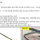 창공조