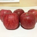 월곡농장 이미지