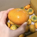 민재축산 이미지