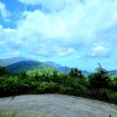 8/29 코리아둘레길 45선 남파랑길 66코스 / 솔타 대장님 이미지