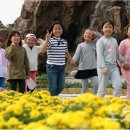 테마파크 이미지