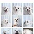 한국 효 태권도장 | 9-10월 이것저것 일상 🫠 + 새로운 직장의 일상을 곁들인