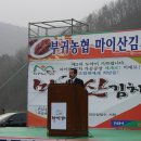 부귀농협 마이산김치 이미지