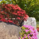 덕곡면사무소 이미지