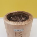 이우중학교 이미지