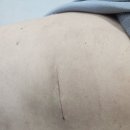 라파엘외과의원 이미지