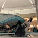 Pearl | 아부다비 공항 펄 라운지 이용후기, 자이드 공항 더라운지, Pearl Lounge