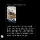 급하니까 10, 11,12 let’s go