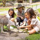 웜벳동물병원 이미지