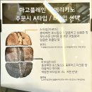 마고플레인B
