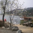 레이크 골프 클럽 이미지