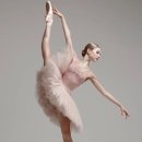 성인발레 이미지