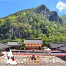 동해시-26 | 동해 두타산 삼화사 무릉계곡 무릉반석 물놀이 동해시 사찰 추천