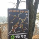 앞산김밥 | 등산 왕초보의 대구 앞산 도전 후기