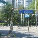 마두2동 행정복지센터 이미지