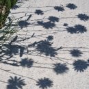 비산2리 이미지