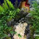 아쿠아수족관 이미지