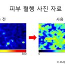 한방바이오 주식회사