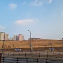 통나무치킨 이미지