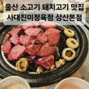사대진미 이미지