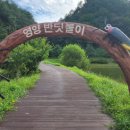 반딧불이 생태학교 이미지