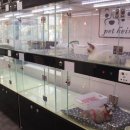 펫하임 강아지 고양이 이미지